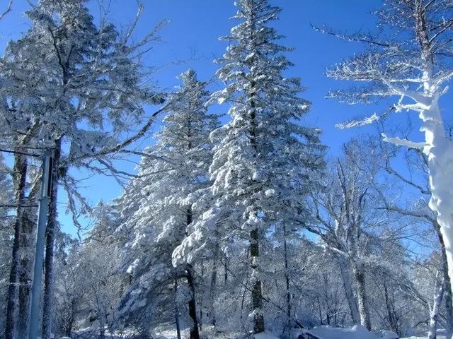 历史上最著名的奇闻异事（世界十大奇闻事件）(7)
