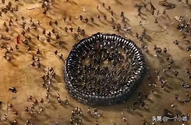 古代 诸葛亮发明的八阵图全集（古代战争中九大阵法）(3)