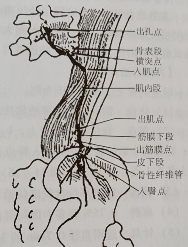 盘他什么意思，最近火的“盘他/她”是什么梗？图9