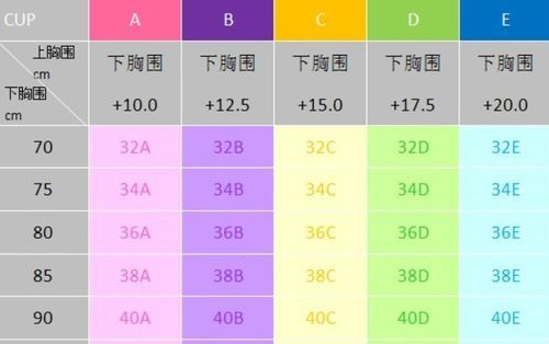 文胸m码是对应尺码对照表