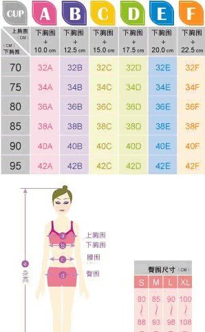内衣尺寸参照表,内衣尺寸参照表36/80是什么意思图2