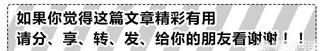 七月半是什么时候，2021年6月15日过六个月是什么时候？图8