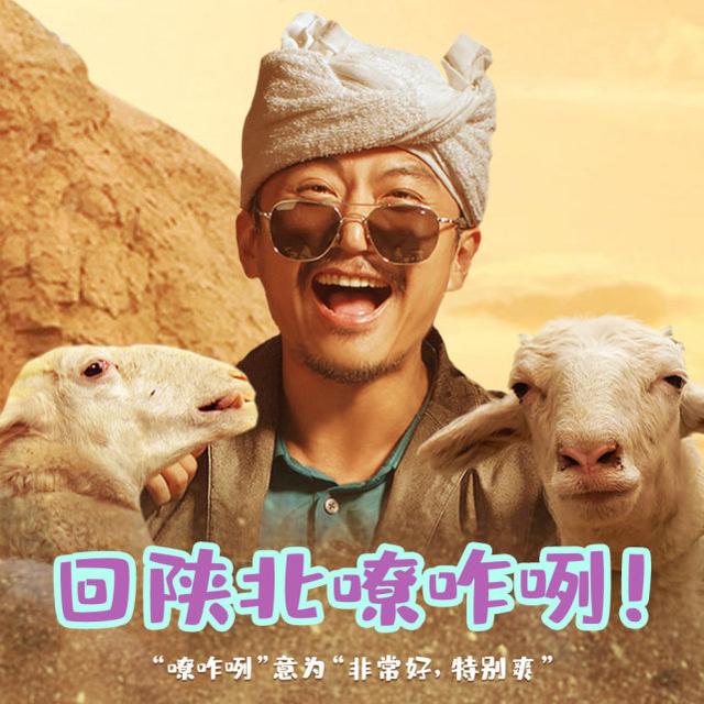 我和我的家乡票房突破5亿（我和我的家乡口碑大爆）(16)