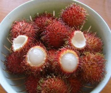 ​红毛丹是荔枝吗，红毛丹是荔枝吗？