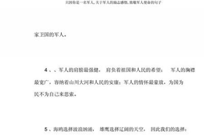 ​形容军人十大经典句子