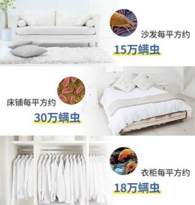 ​如何去除衣柜尘螨（去除衣柜尘螨方法）