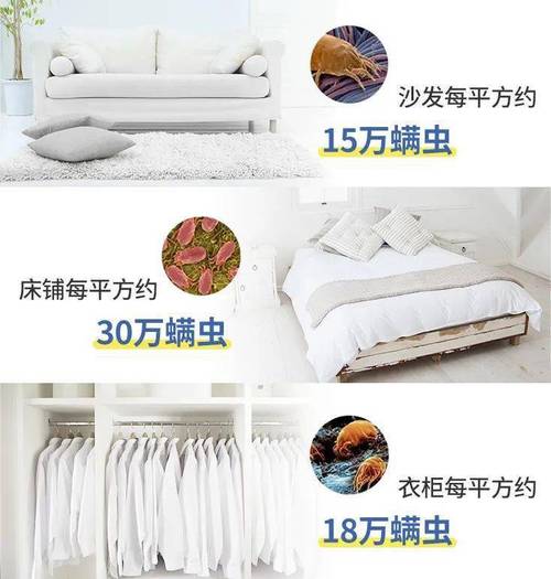 如何去除衣柜尘螨（去除衣柜尘螨方法）