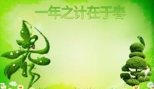 一年之计在于春一日之计在于晨下一句是什么