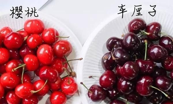 冬天车厘子能放冰箱吗