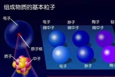 ​八种基本粒子