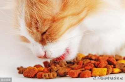 ​半夜猫叫有什么预兆