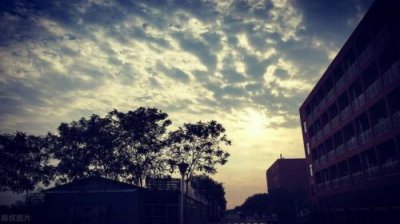 ​教务处工作总结和反思，老年大学教务处工作总结