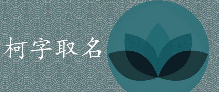 益的五行属性是什么