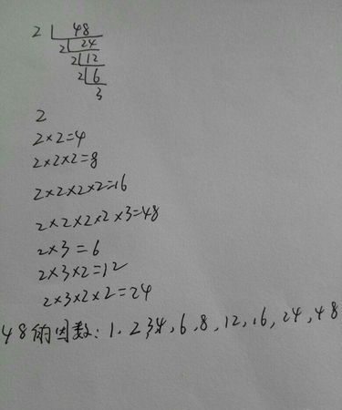 48的因数有哪些数