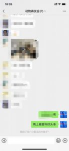 ​微信拍拍功能在哪里设置(微信拍拍功能是什么意思)