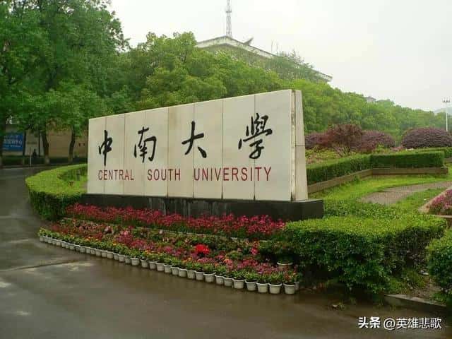 东南大学与中南大学哪个实力强（东南大学和中南大学哪个好）