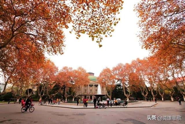 东南大学与中南大学哪个实力强（东南大学和中南大学哪个好）