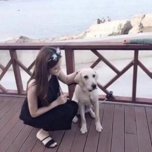 ​如果老婆非要离婚怎么办（老婆为了一条狗要和我离婚）