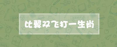 ​比翼双飞打一生肖