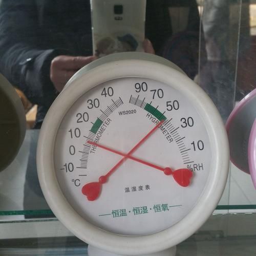 室内温湿度计哪个牌子最好(室内温湿度计怎么使用)-第1张图片-
