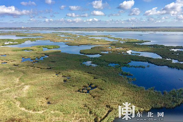 四、大庆国家级自然保护区