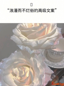 ​浪漫而不烂俗的高级文案短语 浪漫而不烂俗的高级文案配图