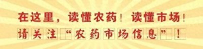 ​讲堂28张照片告诉你玉米苗期病虫害，20张图进一步告诉你玉米叶部病害防控要领