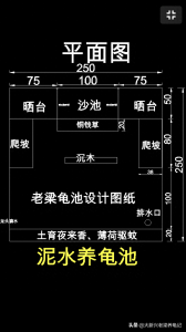 ​瓷砖龟池设计图纸分享，附带细节说明，第二期