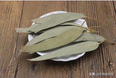 ​怎么除蟑螂最有效彻底！只用这几招蟑螂没了