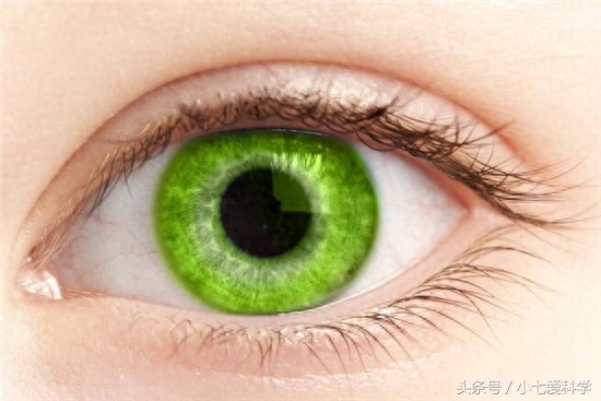 人类中最稀有的三种瞳色：特别是最后一种，迄今为止只发现过一例