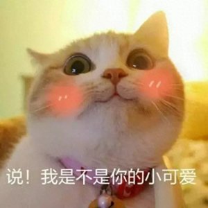 ​棋迷斗图不再输，围棋专属表情包上线啦！