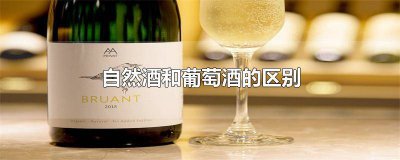 ​自然酒是什么酒 酒是否有机食品区别