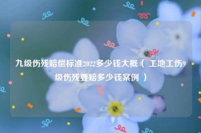 ​九级伤残赔偿标准2022多少钱大概（ 工地工伤9级伤残要赔多少钱案例 ）