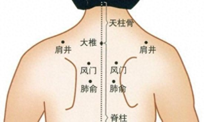 ​「背部穴位图解」人体背部穴位图解大全 人体背部穴位对应器官