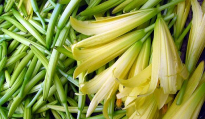 ​黄花菜的营养价值（孕妇产妇的必备食品）