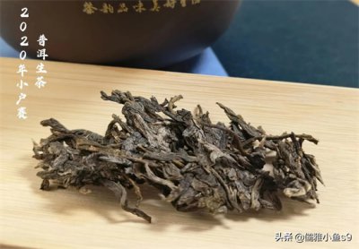 ​普洱茶是黑茶吗，为什么？