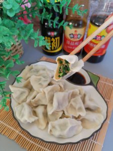 ​家常韭菜猪肉馅怎么调（家常韭菜猪肉馅怎么调视频）