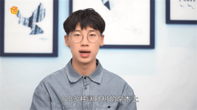 ​木耳是从哪里长出来的图片「木耳是什么地方长出来的」