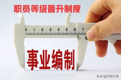 ​事业单位职级并行方案（事业单位职级并行方案山东省）