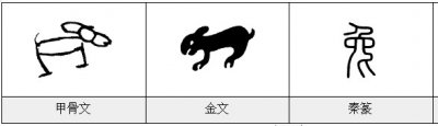 ​兔的部首和结构（兔的部首和结构的字）