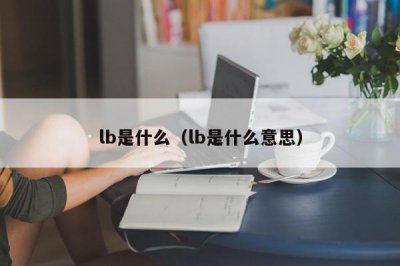 ​lb是什么（lb是什么意思）