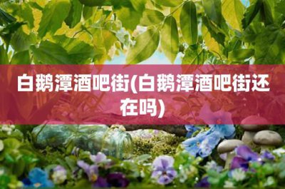 ​白鹅潭酒吧街(白鹅潭酒吧街还在吗)