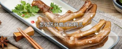 ​怎么区分鹅爪和鸭爪 怎么区分鹅爪和鸭爪图片