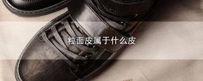 ​粒面皮属于什么皮 什么叫粒面皮