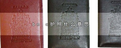 ​BN0bn0护照 BAN护照是啥意思