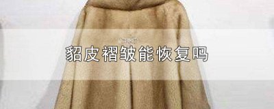 ​貂皮褶皱能恢复吗 貂皮褶皱能恢复吗图片