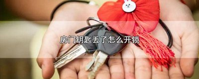 ​房门钥匙丢了怎么锁门视频 房间门钥匙丢了怎么锁门