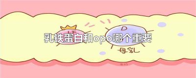 ​opn和乳铁蛋白 奶粉opo重要还是乳铁蛋白比较重要