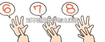 ​对不起用数字表达 对不起用数字代替