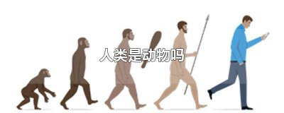 ​人类是不是一种动物 动物是人类的